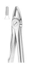  Fig. 37 upper incisors for children 